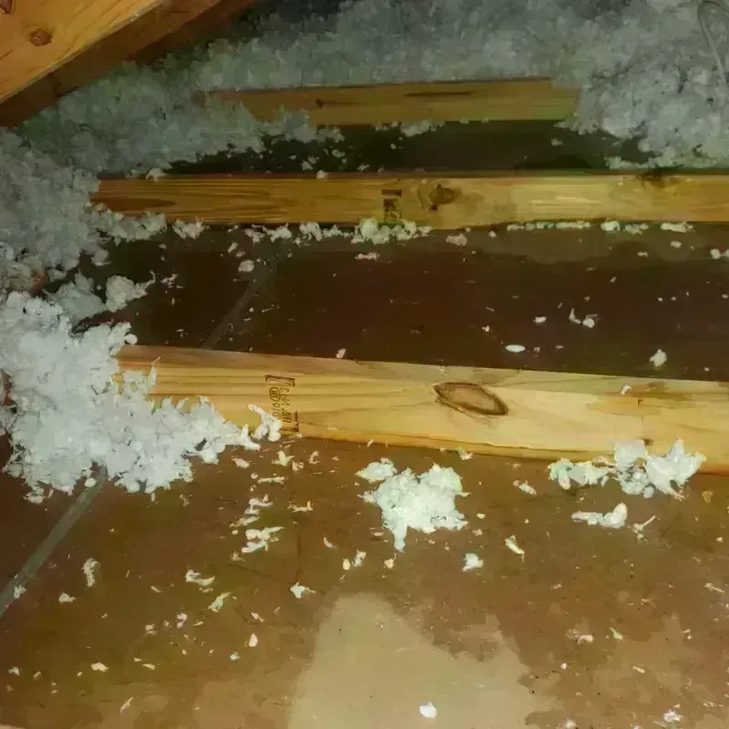 Attic Water Damage in Grand Bay, AL