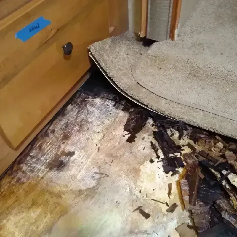 Wood Floor Water Damage in Grand Bay, AL